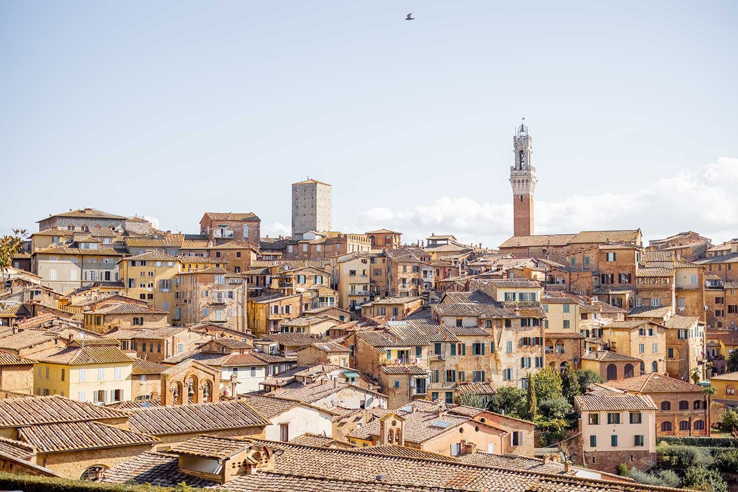Bright apartment a stone’s throw from Piazza del Campo